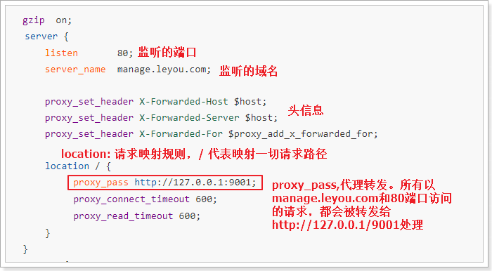 使用nginx进行反向代理