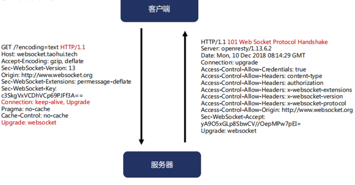 nginx 反向代理memcached、websocket及nginx文件方面的优化