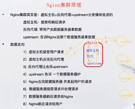 Nginx集群