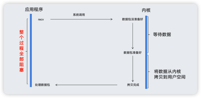 BIO模型